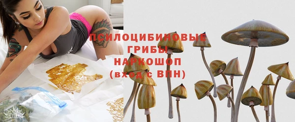 ГАЛЛЮЦИНОГЕННЫЕ ГРИБЫ Касимов