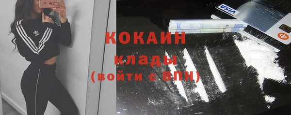 ГАЛЛЮЦИНОГЕННЫЕ ГРИБЫ Касимов