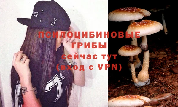 ГАЛЛЮЦИНОГЕННЫЕ ГРИБЫ Касимов