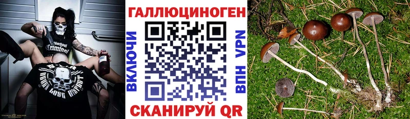Купить  Сочи  Галлюциногенные грибы прущие грибы 